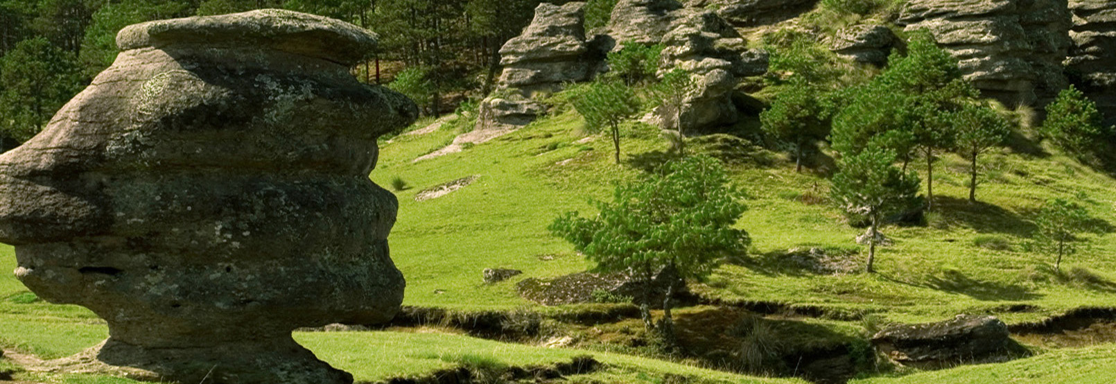 artesanías de sinaloa